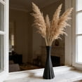 thumbnail image 4 of Sleek Minimalist Plastic Vase for Dried Flowers Pampas Grass Display Modern Home Office Table Decor Sculptural Centerpiece with Stable Base Design, 4 of 6