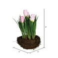 thumbnail image 3 of Vickerman FO194509 Tulipes Roses dans un Nid d'Oiseau en Pot, 3 of 3