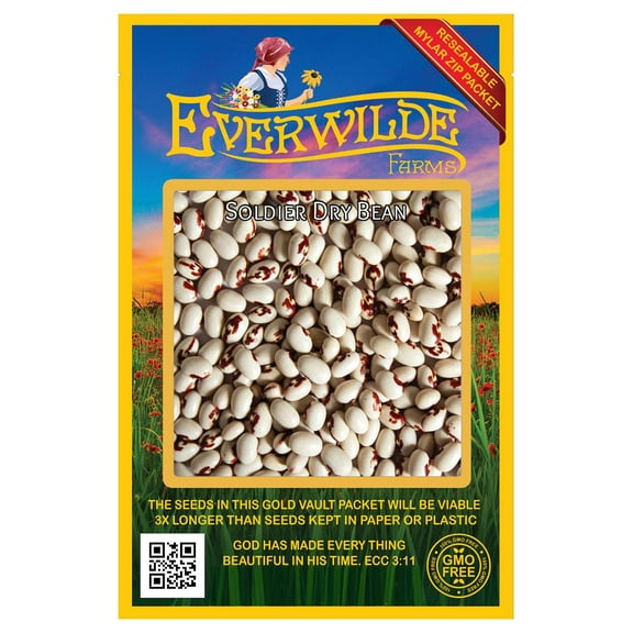 Everwilde Farms - 100 Soldier Dry Bean Seeds - Gold Vault Jumbo Bulk Seed Packet