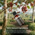 thumbnail image 4 of Viva Doria Pure Food Grade Clove Bud Essential Oil, 1 fl oz, 4 of 9