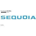 thumbnail image 1 of my car my way Tailgate Letters Compatible with Toyota Sequioa 2012-2021 | 3M Adhesive & 3D Domed | Precision Fit | Water Resistant, 1 of 7
