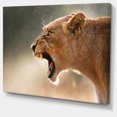 thumbnail image 2 of Lion Showing Dangerous Teeth - African Canvas Art Print, 2 of 3