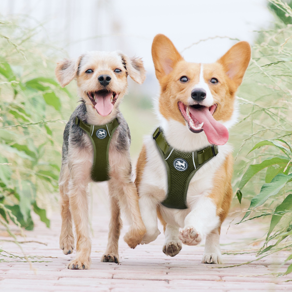 PoyPet Reflective No Pull Dog Harness, Military Green, Medium photo 2