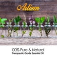 thumbnail image 2 of Artizen 30ml Oils - Lemon Essential Oil - 1 Fluid Ounce, 2 of 8