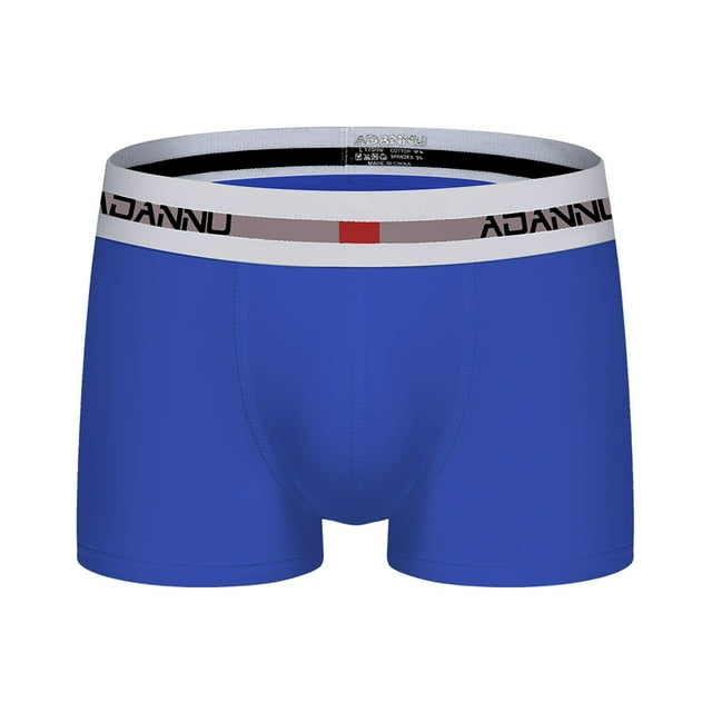 PEASKJP Mens Trunk Pouch Underwear with Hidden Zipper Pocket Comfy Breathable Low Rise Underwear,Blue L