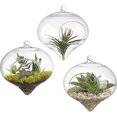 thumbnail image 2 of Jingjianm Clear Glass Hanging Terrarium, Air Plant Holder, Decorative Orb for Home, Garden, Wedding, and Event Decor, 4 Inches Clear, 2 of 3