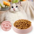 thumbnail image 1 of WIFKLSIIPG Ceramic Slow Dog Feeder Bowl for Small Dog Raised Slow Dog Food Bowl Circle Shape 3 Colors 4 Models, 1 of 5