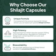 Organics Ocean One-Per-Day Shilajit Supplement – High Potency Formula – 30 Capsules – Skin & Bone Support