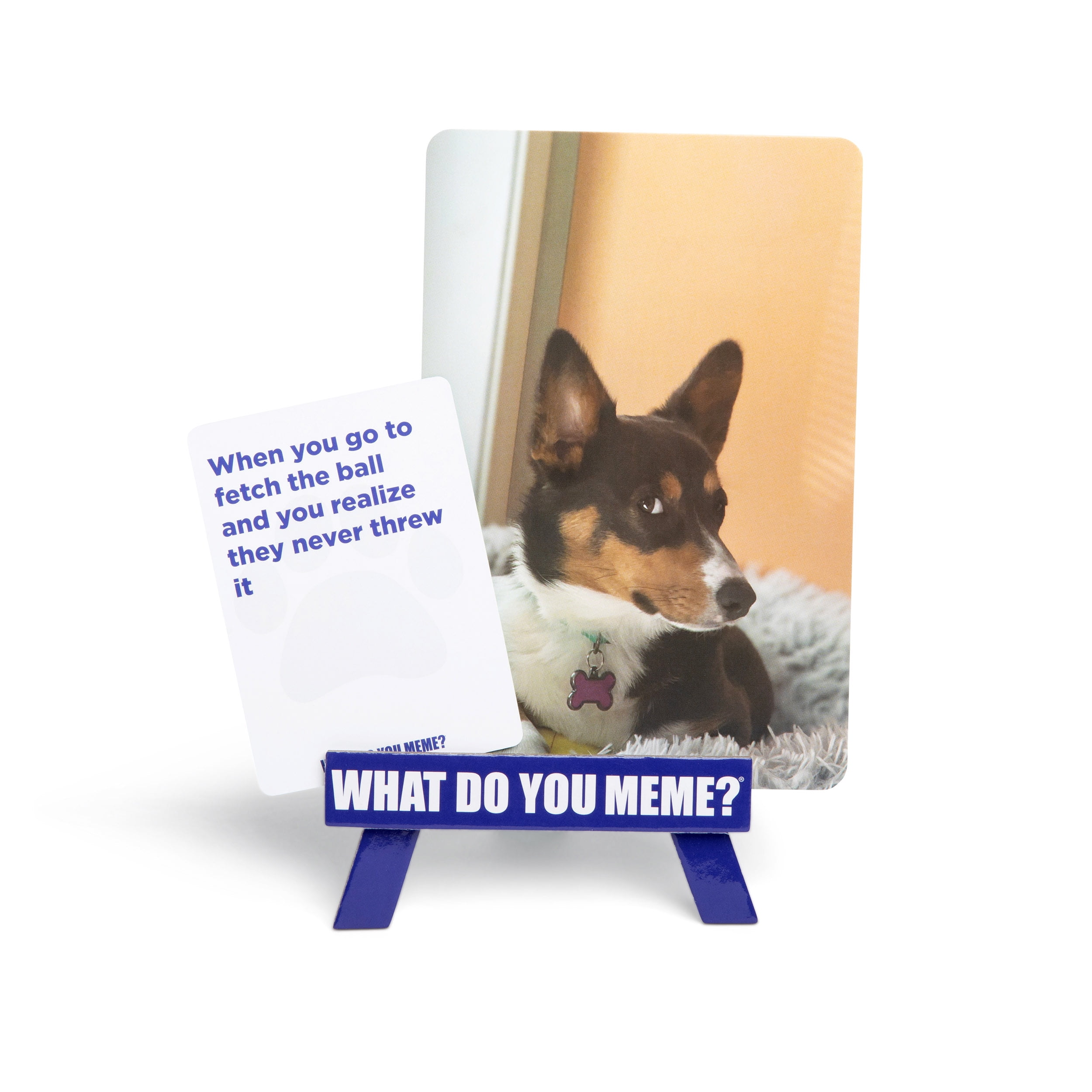 What Do You Meme? Family Pets Only Edition - Kids and Family Party Game with 366 Cards, Ages 8+