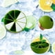 thumbnail image 1 of Bandeja de hielo de limón de bricolaje | Molde para paletas de 10 celdas | Formas de animales lindos: pájaro, búho y oso | 10.5x10.5x5cm | Diseño de fácil liberación | Plástico libre de BPA | 25ml, 1 of 7