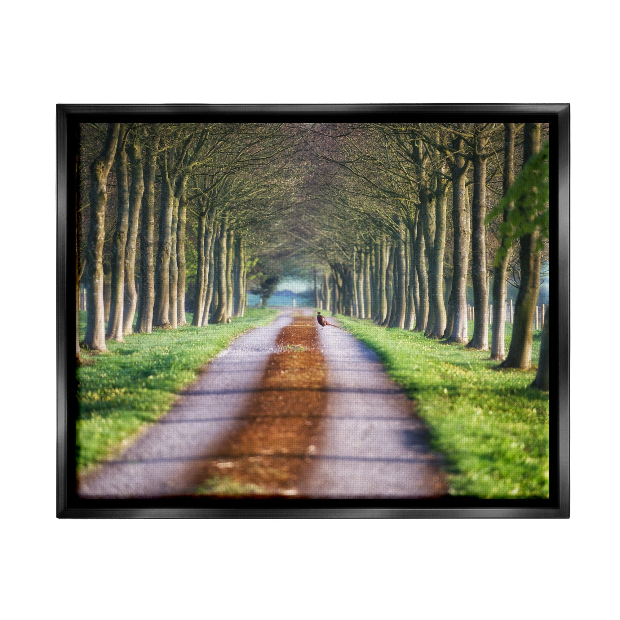 Stupell Industries Aligned Trees Along Orchard Path Nature Tunnel Photograph Luster Gray Floating Framed Canvas Print Wall Art, Design by James Dobson