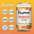 thumbnail image 3 of Humm Sparkling Water, Peach, 12 Pack, 12 oz Cans, 3 of 8