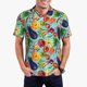 thumbnail image 1 of Balery Vegetable (2) Camisa Polo de Hombre con Estampado, de Manga Corta y Tejido Medio, Camisa Tipo Golf Polo-XX-Large, 1 of 6