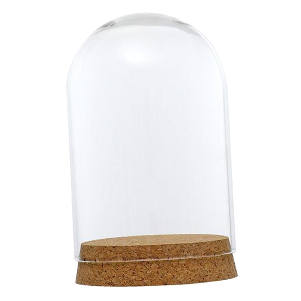 8Pcs Mini Glass Hemisphere Display Dome Cloche Jar Cover Wood Cork Decor 