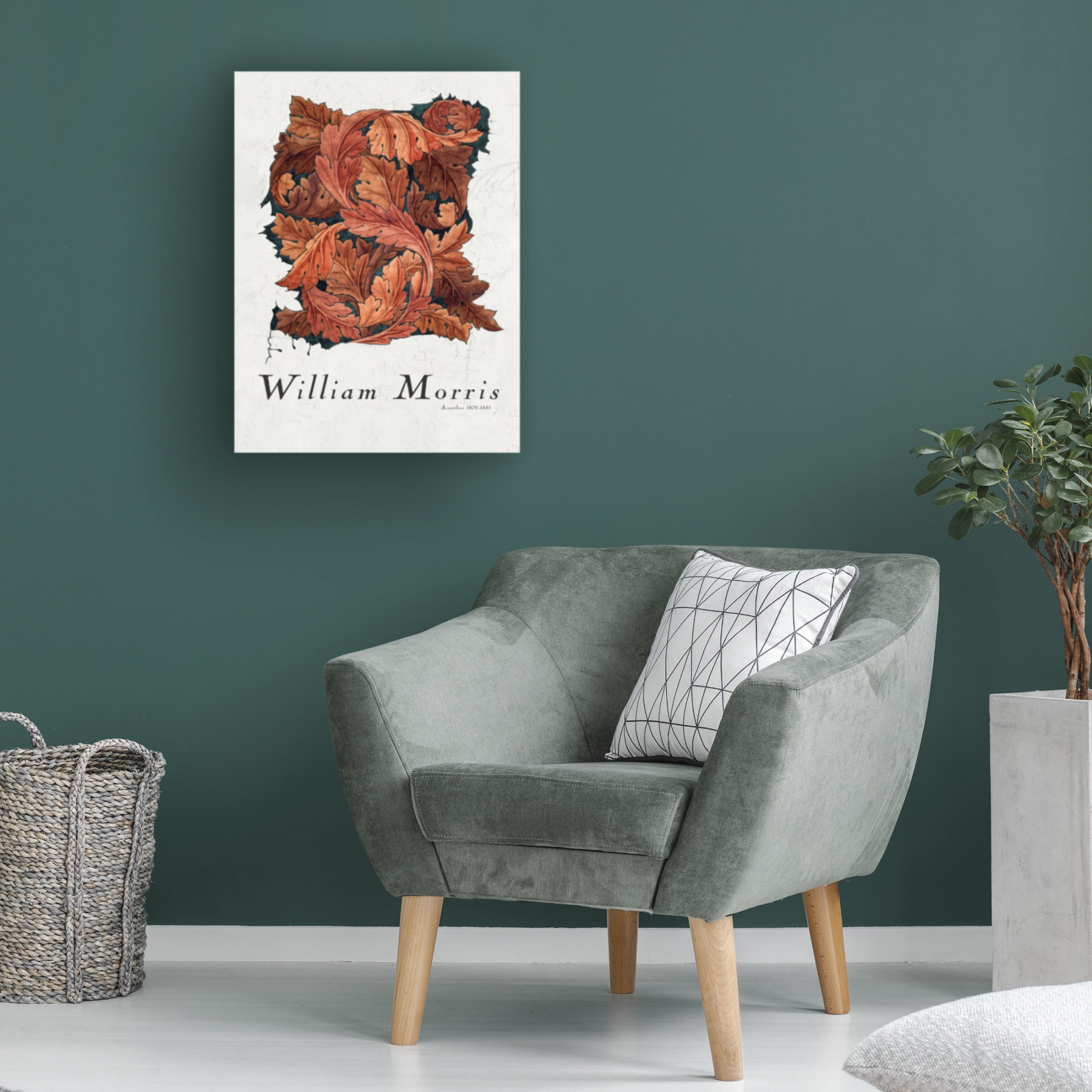 Trademark Fine Art Pictufy Acanthus Canvas Wall Art