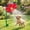Red, variant on Crazy Daisy Sprinkler, 2026 New Crazy Dancing Flower Water Sprinkler, Funny 360° Rotating Sun Flower Dancing Water Sprinkler Irrigation Tool for Lawn Garden Yard Watering Dogs Kids Playing (Yellow)