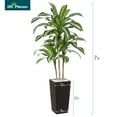 thumbnail image 2 of 7ft UV Resistant Artificial Dracaena Tree with Brown Tall Planter, Pre Potted Fake Plants for Indoor Outdoor Home Decor, Big Faux Tree Fake Plants for Office House Decor, 2 of 10