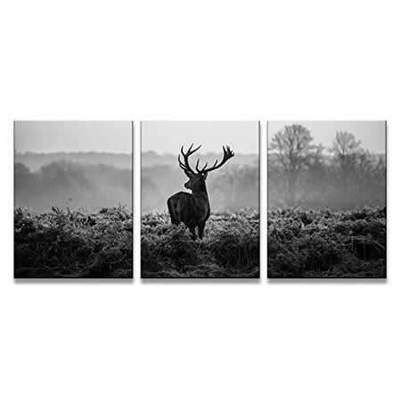 Yixuanwall Hz3040art Canvas Prints Black And White Deer Wall Art