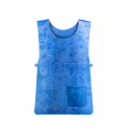 thumbnail image 1 of Summer Quickly Relieve Heat Vest Summer Ice Cooling for Jacket Sunstroke Prevention Blue, 1 of 5