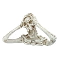 thumbnail image 2 of Design Toscano Shriek The Skeleton Statue: Large Skull, 2 of 6