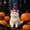 B, variant on Halloween Witch Pet Cone Hat, Adjustable Elastic Felt Party Hat for Cats Small Dogs, Purple Pom-pom Funny Pet Cosplay Costume Accessory, Holiday Photo Booth Prop