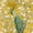 Gold Teal, variant on Erosebridal Cartoon Cat Twin Quilt Set,Multi Kitten Cute Twin Coverlet Set For Girls,2pcs