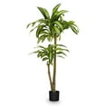 thumbnail image 1 of Open Box Maia Shop Artificial Dracaena Tree 4'3" Tall Tropical Decoration, 51", 1 of 8