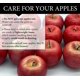 thumbnail image 5 of Manzanas Falsas De Imitación 13 Piezas - Frutas Falsas Para Decoración (rojo), 5 of 5