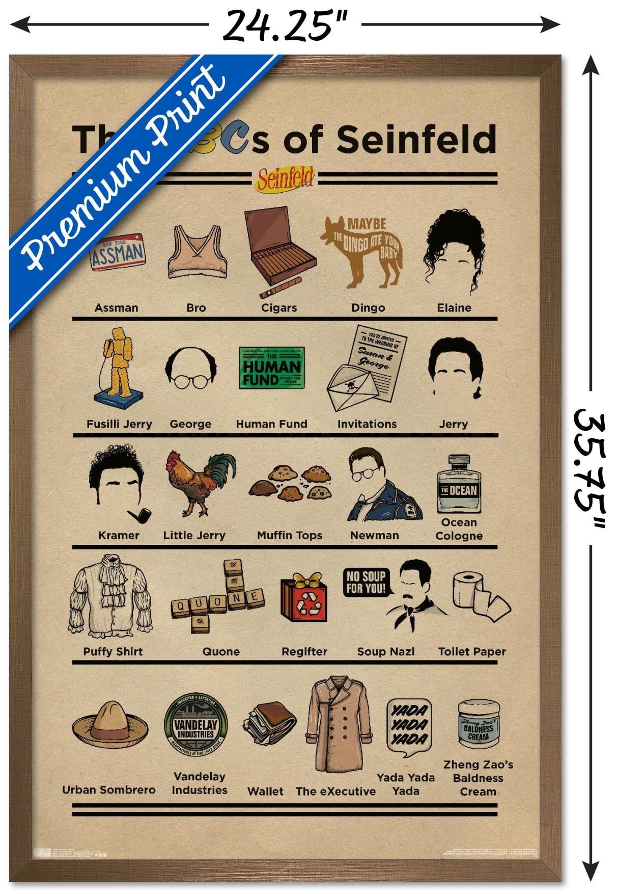Seinfeld - Abcs Wall Poster, 22.375" x 34", Framed
