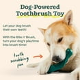 thumbnail image 4 of Recambios de limpieza dental para cepillo de dientes para perros Toy WOOF Bite n' Brush, 4 of 6