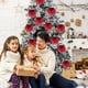 thumbnail image 4 of Adornos de bola de Navidad de terciopelo Paquete de 12 | Grandes decoraciones de árbol de vacaciones flocadas a prueba de roturas de 2.36" | Acabado mate Rojo Burdeos Tan Blanco Tierra | Elegante, 4 of 7