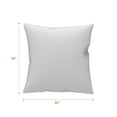 thumbnail image 4 of Sunbrella Throw Pillows Set of 2, UV Fade resistant & Water Repellent Square Throw Pillows (Inserts with Covers) for Indoor & Outdoor Use, 4 of 7