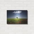 thumbnail image 3 of Luxe Metal Art 'Lone Tree in a Poppy Field', Metal Wall Art, 24"x16", 3 of 8