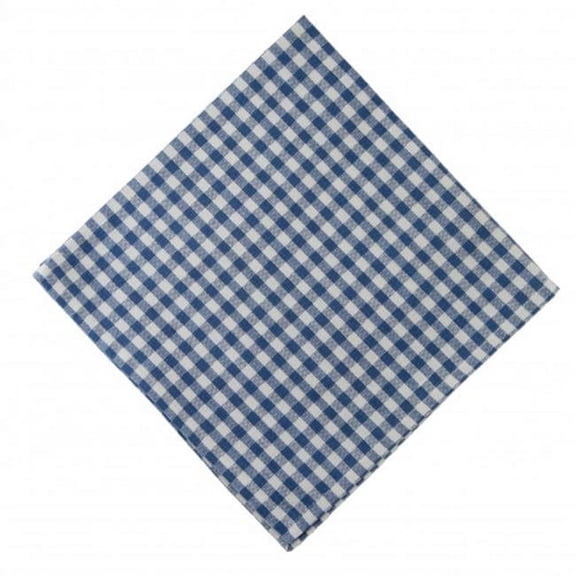 Mr. MJs Trading AG-20291S-4 Napkins, Toro Blue Check - Set of 4