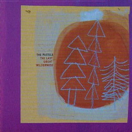 The Pastels - Last Great Wilderness - Vinyl