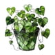 thumbnail image 2 of Heart Shaped Potted Greenery 2D Hanging Ornament for Outdoor Window Garden Patio Decoration 1-Pack, 2 of 7