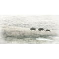 thumbnail image 2 of Murdock, Ramona 18x11 Black Ornate Wood Framed with Double Matting Museum Art Print Titled - Buffalo Stampede, 2 of 4