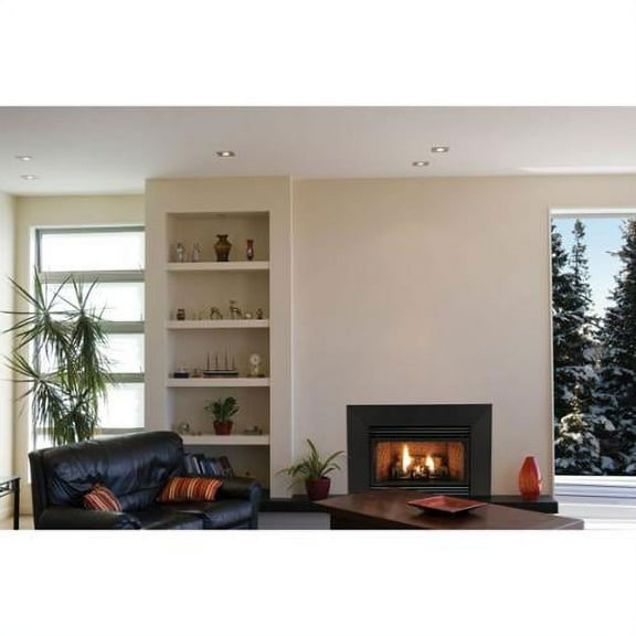 Vent-Free IP 20000 BTU Fireplace Insert - Liquid Propane