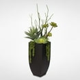 thumbnail image 5 of Botanical Succulent Variety in a Tall Black Modern Metal Planter - Green, 5 of 5