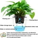 thumbnail image 4 of pstuiky Cuerda de algodón para riego automático, ideal para el riego automático de plantas (dispositivo de riego automático para plantas, color violeta)., 4 of 5