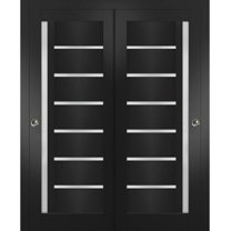 Sliding Closet Bypass Doors inches | Quadro 4088 Matte Black with Frosted Glass | Sturdy Rails Moldings Trims Hardware Set | Wood Solid Bedroom Wardrobe Doors