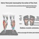thumbnail image 4 of New Electric Ems Foot Massager Leg Reshaping Pad Feet Muscle Stimulator Mat Usa K, 4 of 4