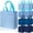 Blue, variant on 36 Pcs Pink Gift Bags Bulk Woven Pastel Pink Gift Bags with Handles Reusable Party Favor Goodie Bulk, Pastel Rainbow Color Tote Bag for Women Wedding Birthday Bridal Shower Decoration