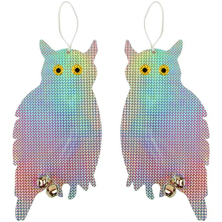 Tapix Owl Bird Repellent Reflective Holographic Bird Deterrent Hanging Device Effectively Keep Birds Away 2 Pack to Scare Birds Away 15.3 x 8.2 inch, Best Bird Scare (Best Humidor Humidification Device)