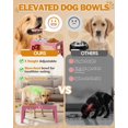 thumbnail image 3 of Cuencos elevados para perros Jovrun para perros medianos y grandes con 2 cuencos, 3 of 7