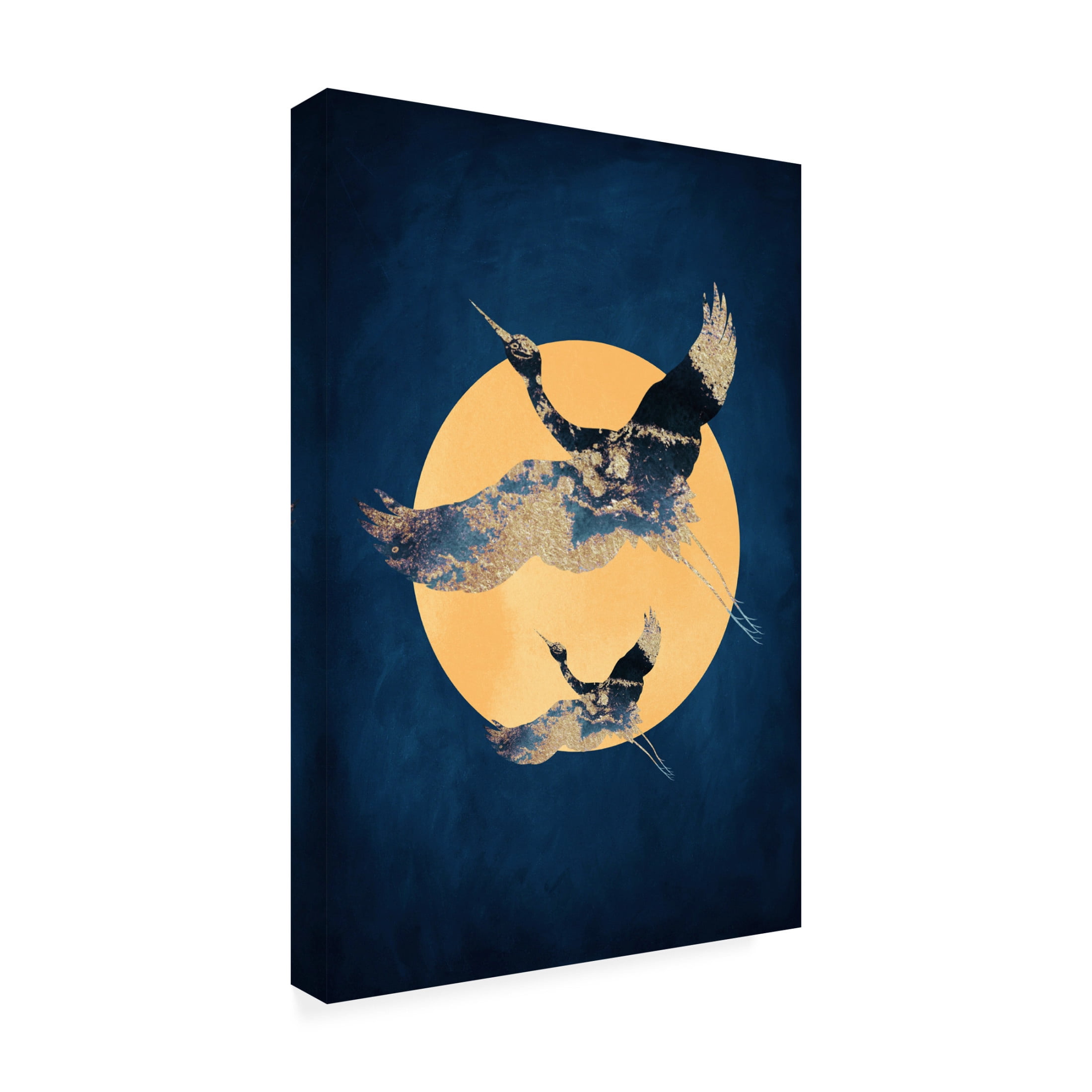Trademark Fine Art Aureous Sapphire Sun a Cranes Canvas Wall Art