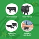 thumbnail image 3 of Figura Big Country Toys Angus Bull a escala 1:20 pintada a mano, 3 of 6