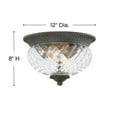thumbnail image 5 of 2 Light Outdoor Small Flush Mount in Traditional-Glam Style 12 inches Wide By 8 inches High-Museum Black Finish Bailey Street Home 81-Bel-4420956, 5 of 7