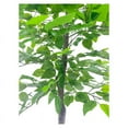 thumbnail image 5 of 5FT Artificial Ficus Tree in Pot, Faux Ficus Plants for Home Office Living Room Decor Indoor, 5 of 5