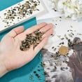 thumbnail image 3 of 180Pcs 6 Sizes Carbon Steel Belt Tip Screws Set Tip Point Screw Assortment Kits Pointed Slot Leather Accessories for Belt Buckle Wallet Handbag Purse, 3 of 6